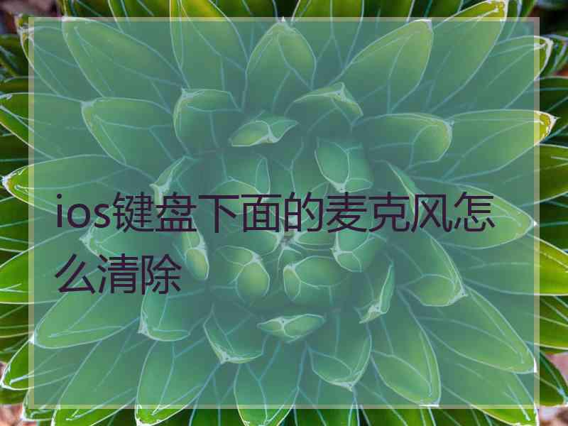 ios键盘下面的麦克风怎么清除