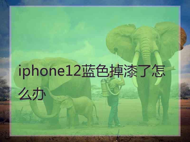 iphone12蓝色掉漆了怎么办