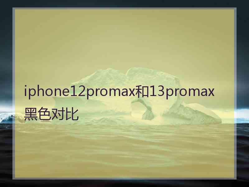 iphone12promax和13promax黑色对比