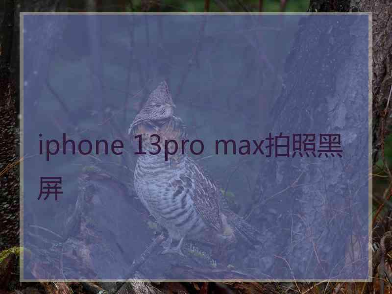 iphone 13pro max拍照黑屏