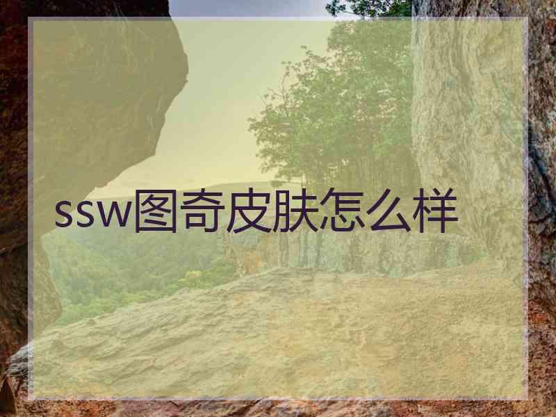 ssw图奇皮肤怎么样