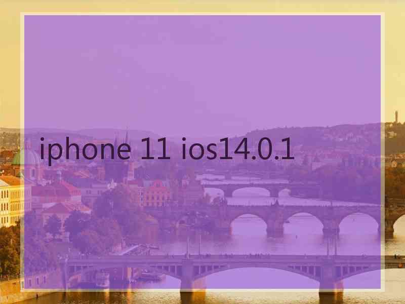 iphone 11 ios14.0.1