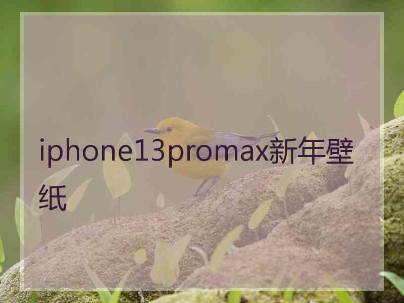 iphone13promax新年壁纸