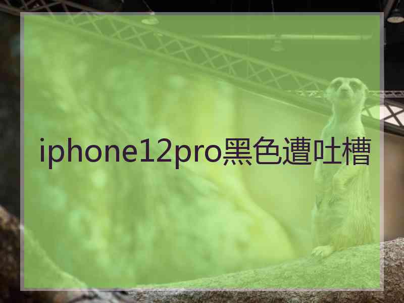 iphone12pro黑色遭吐槽