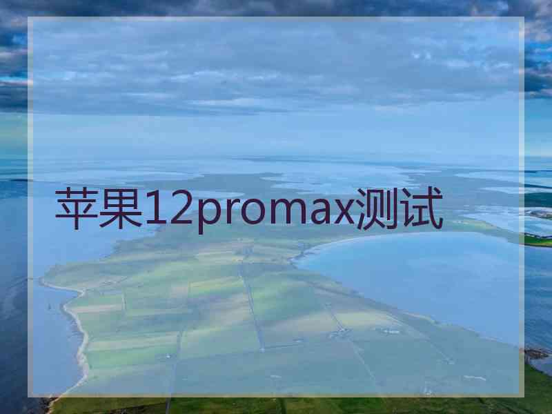 苹果12promax测试