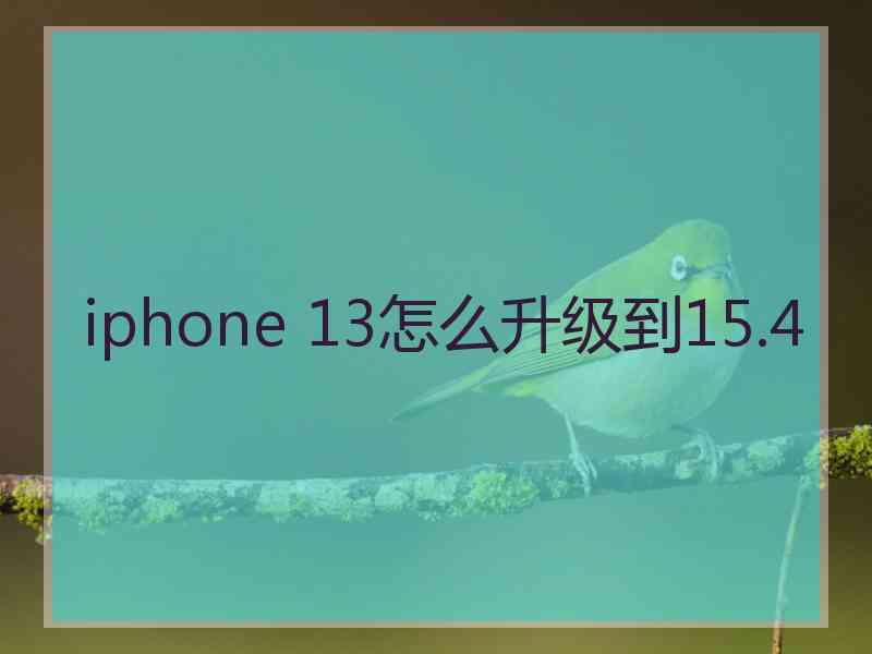 iphone 13怎么升级到15.4