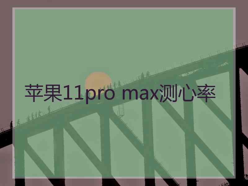 苹果11pro max测心率