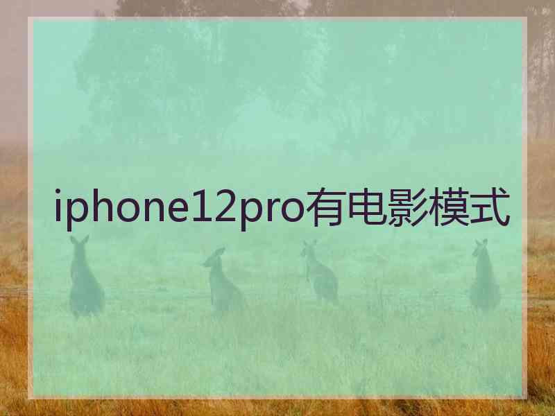 iphone12pro有电影模式