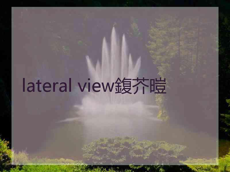 lateral view鍑芥暟