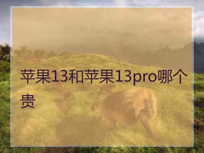 苹果13和苹果13pro哪个贵