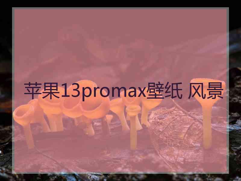 苹果13promax壁纸 风景