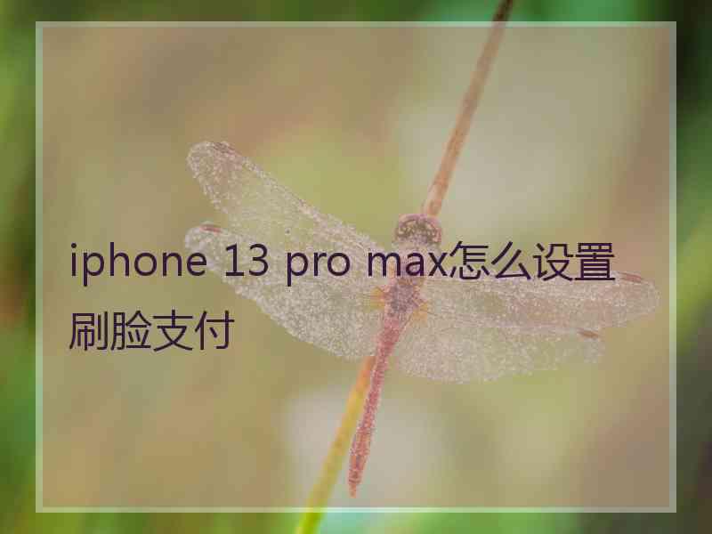 iphone 13 pro max怎么设置刷脸支付