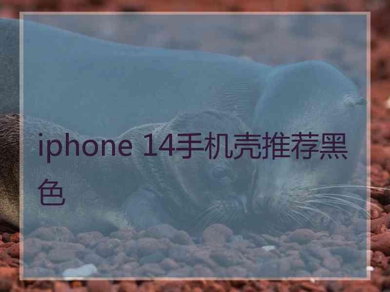 iphone 14手机壳推荐黑色