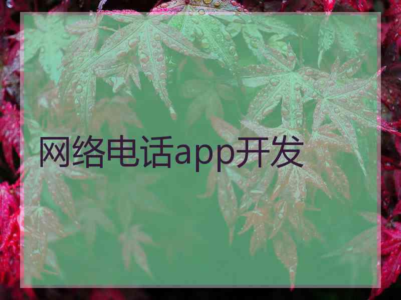 网络电话app开发