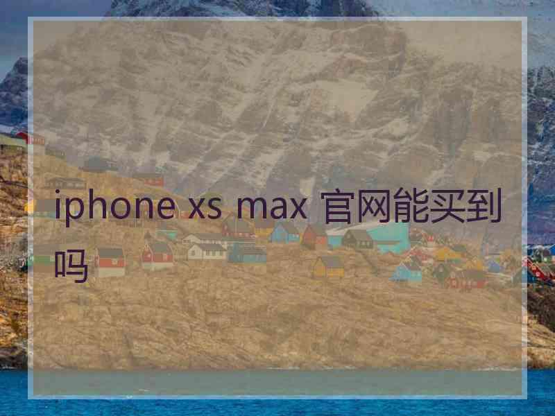 iphone xs max 官网能买到吗