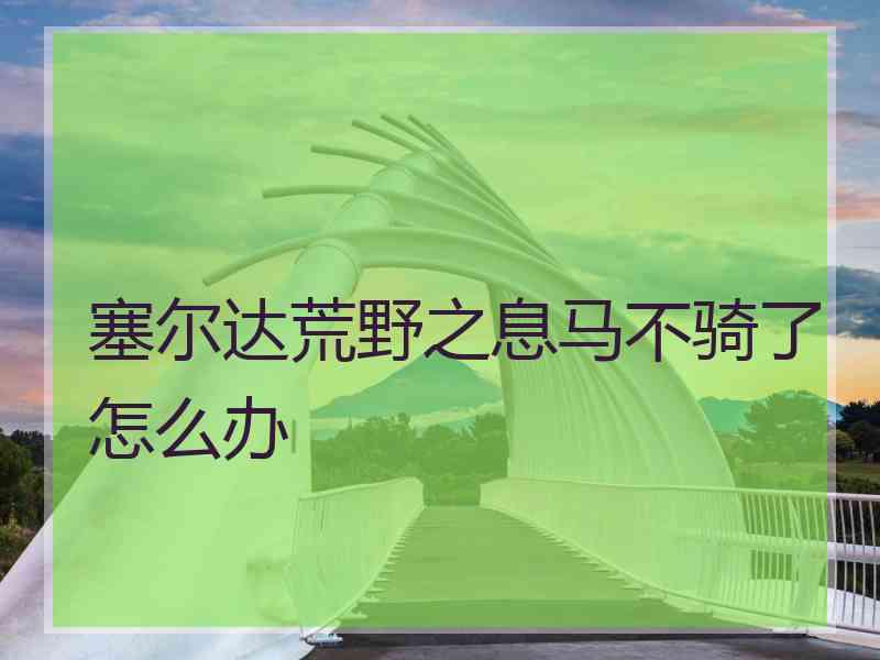 塞尔达荒野之息马不骑了怎么办