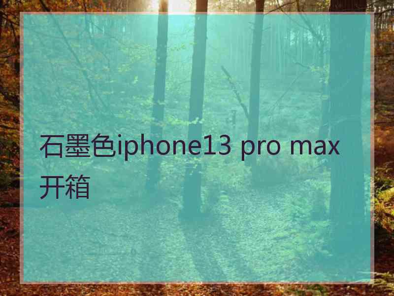 石墨色iphone13 pro max开箱