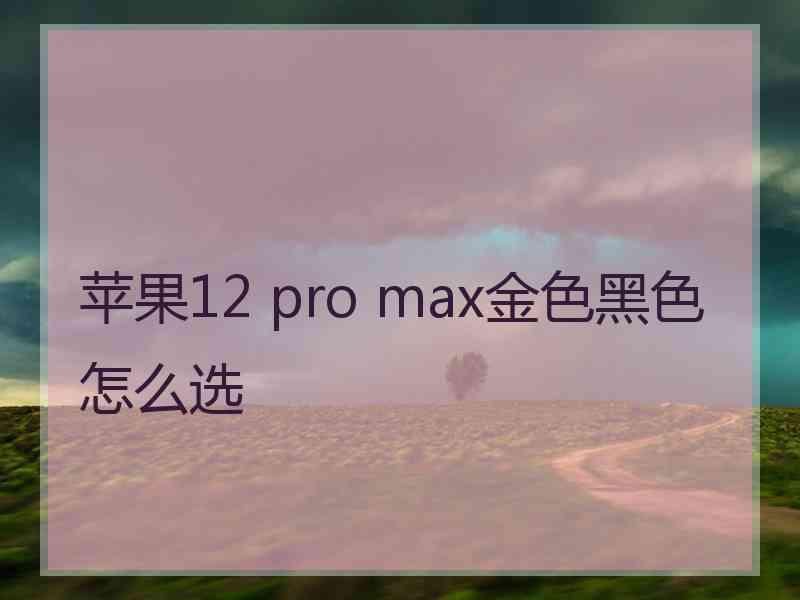 苹果12 pro max金色黑色怎么选