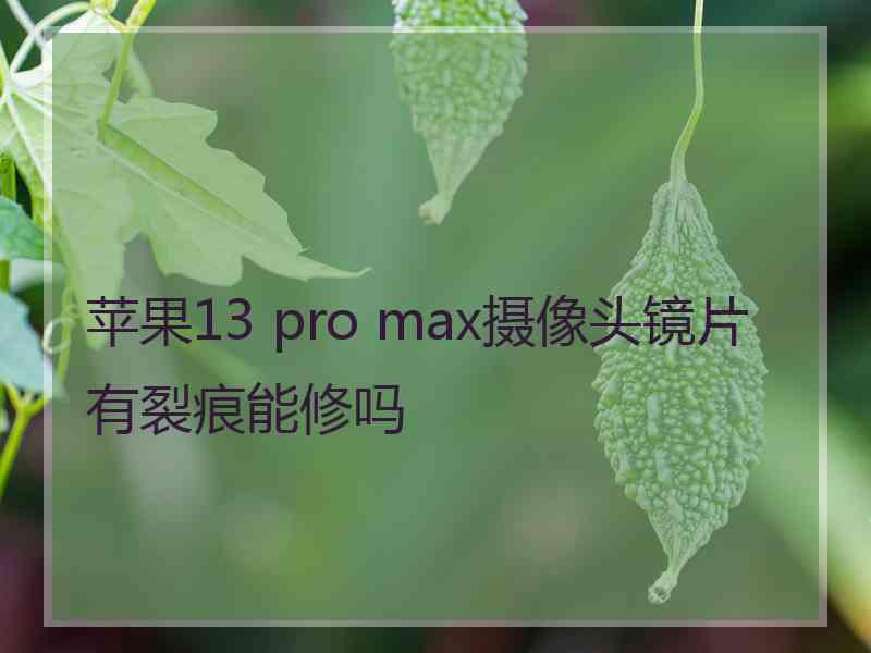 苹果13 pro max摄像头镜片有裂痕能修吗