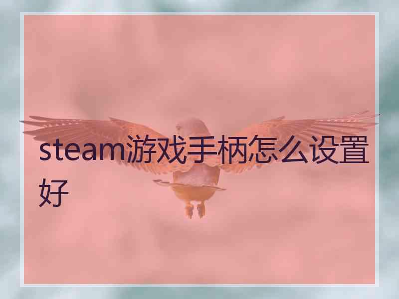 steam游戏手柄怎么设置好