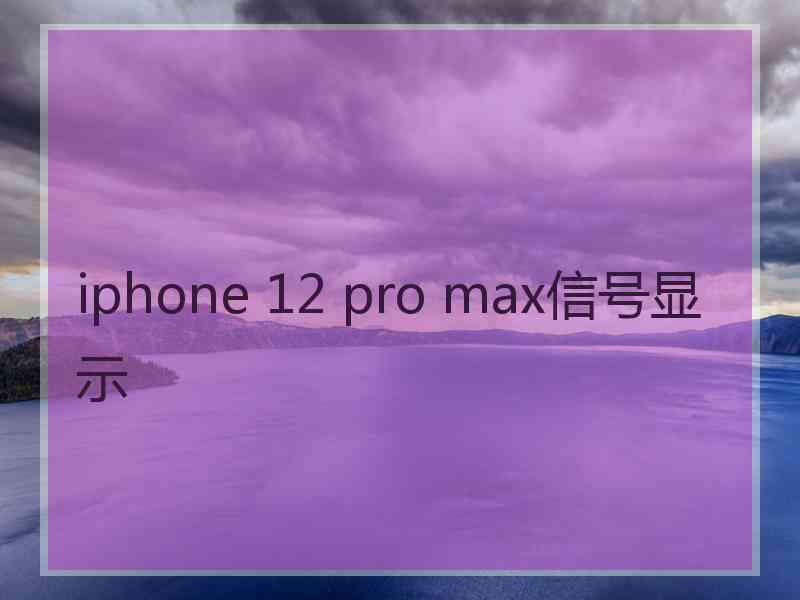 iphone 12 pro max信号显示