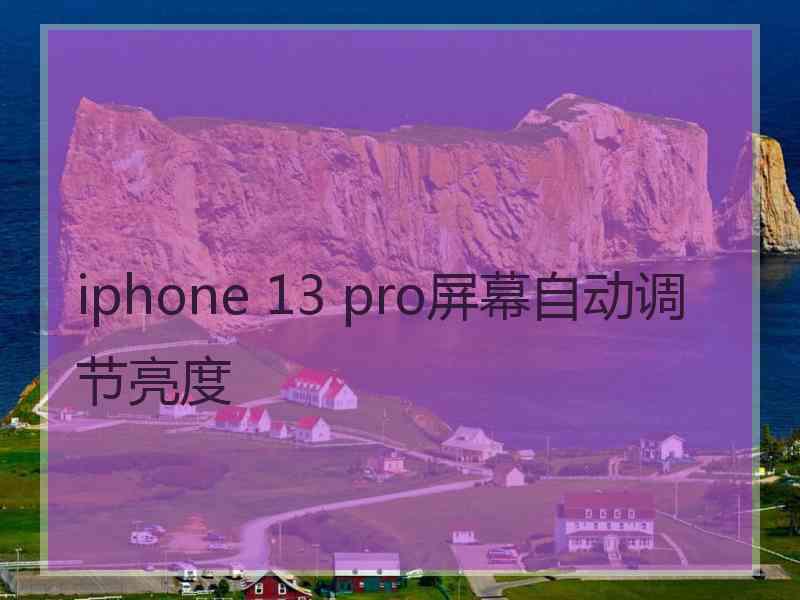 iphone 13 pro屏幕自动调节亮度