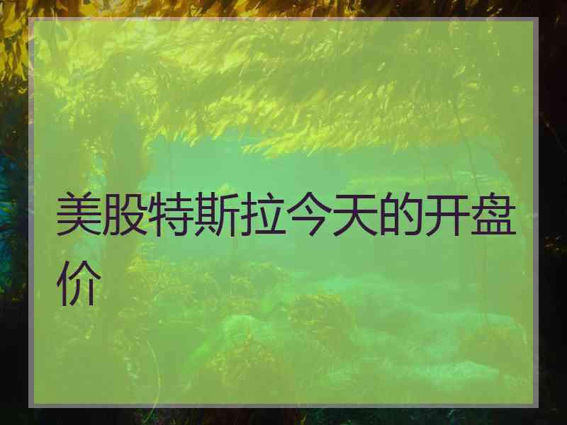 美股特斯拉今天的开盘价