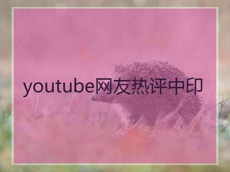 youtube网友热评中印