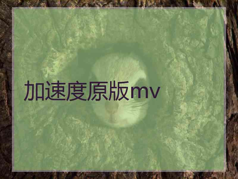 加速度原版mv