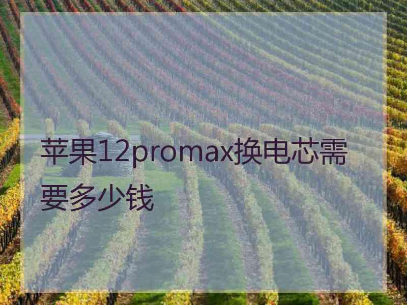 苹果12promax换电芯需要多少钱