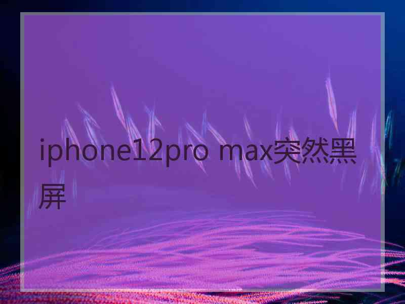 iphone12pro max突然黑屏