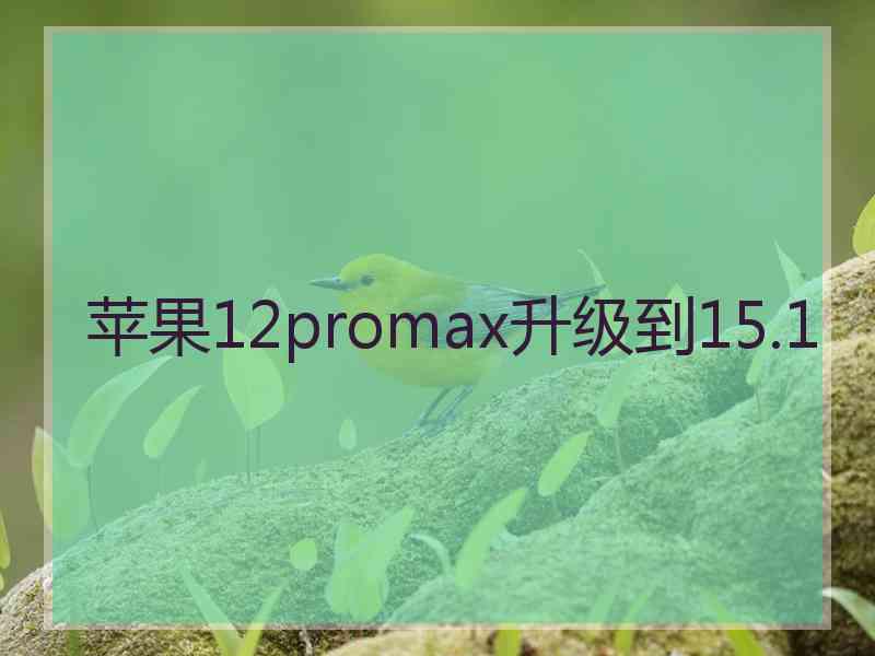 苹果12promax升级到15.1