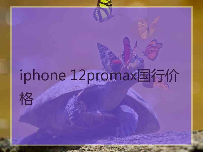 iphone 12promax国行价格