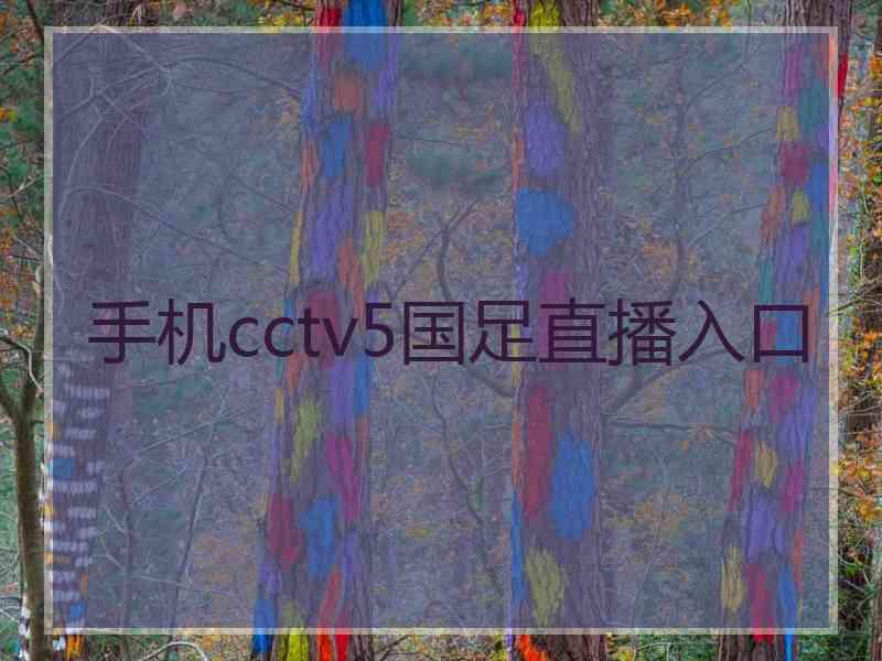 手机cctv5国足直播入口