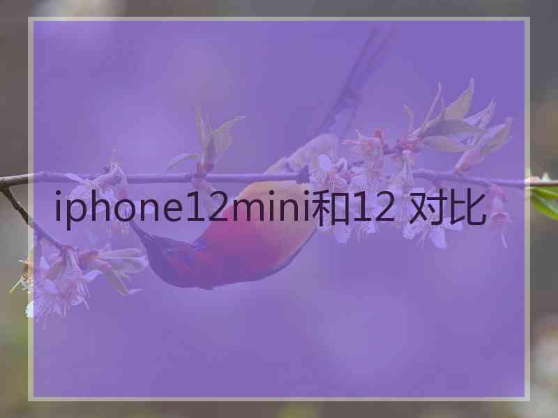 iphone12mini和12 对比