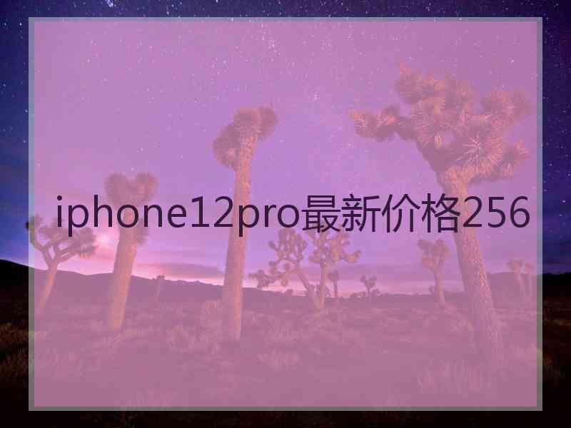 iphone12pro最新价格256