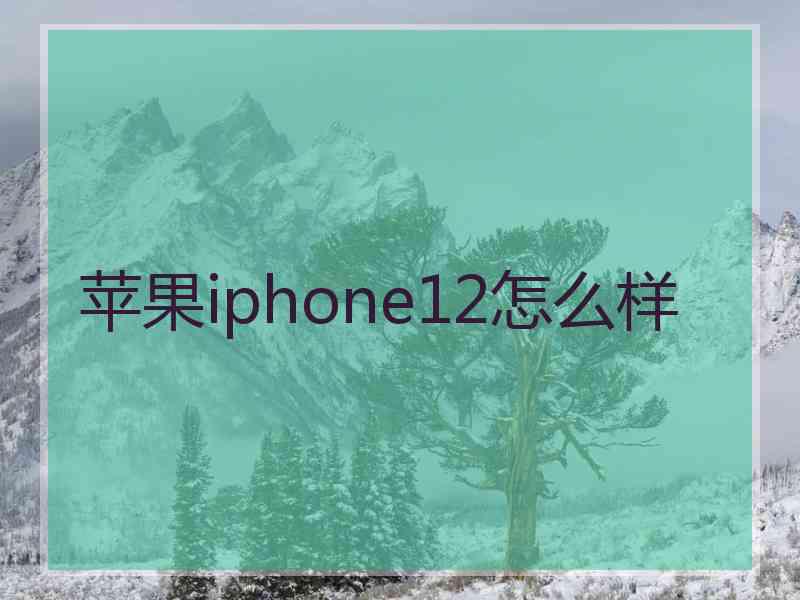 苹果iphone12怎么样