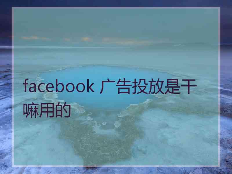 facebook 广告投放是干嘛用的