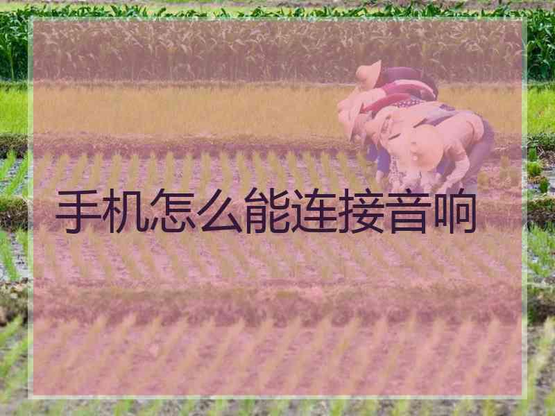 手机怎么能连接音响