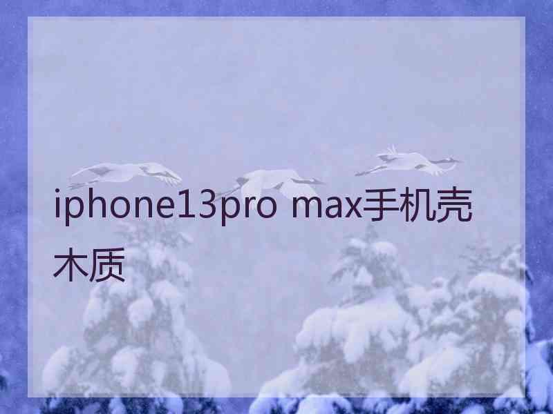 iphone13pro max手机壳木质