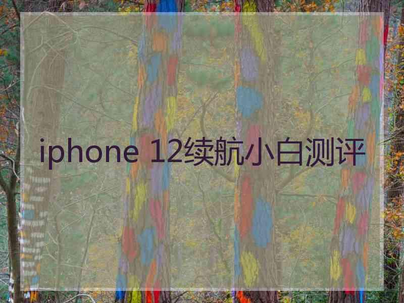 iphone 12续航小白测评