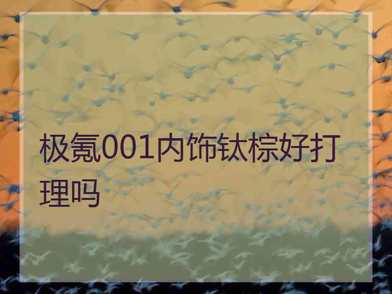 极氪001内饰钛棕好打理吗