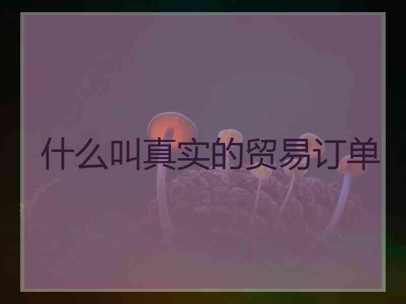 什么叫真实的贸易订单