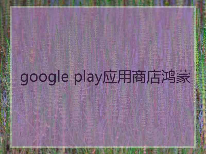 google play应用商店鸿蒙