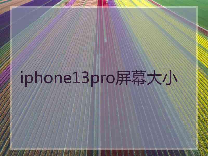 iphone13pro屏幕大小