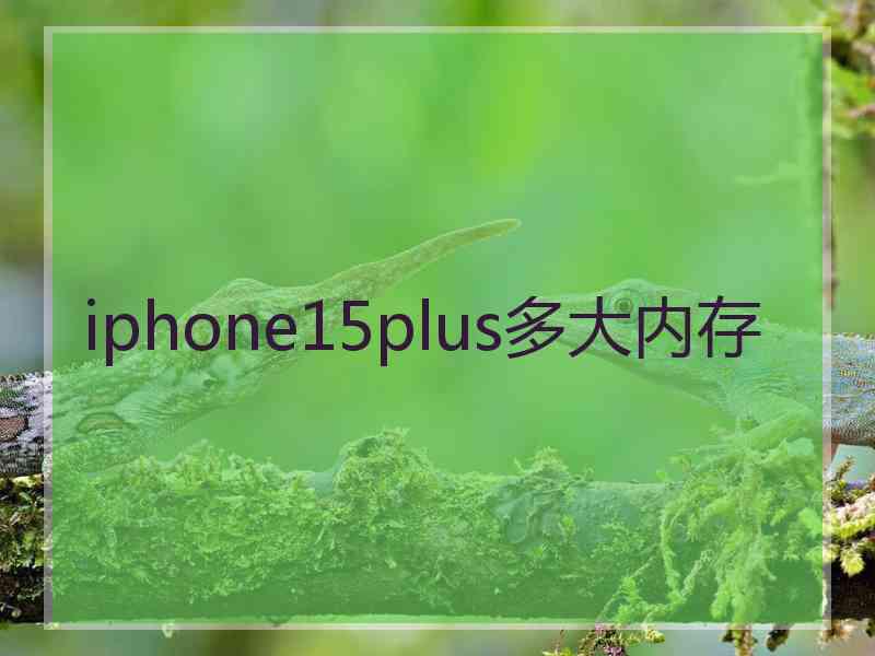 iphone15plus多大内存