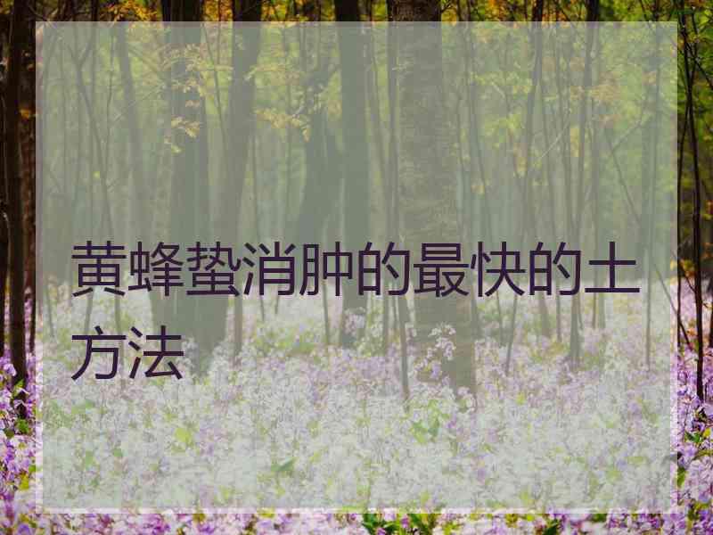 黄蜂蛰消肿的最快的土方法