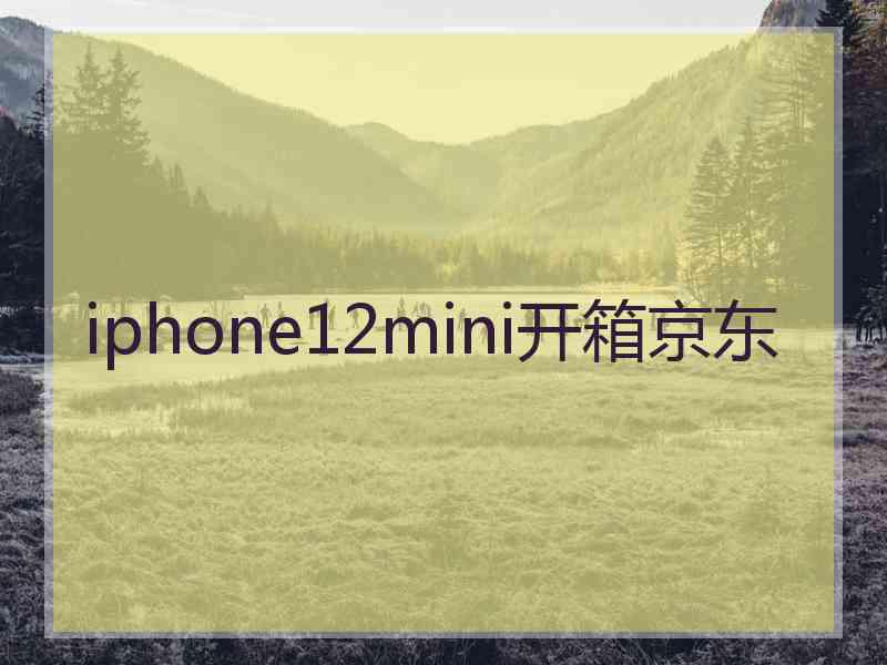 iphone12mini开箱京东