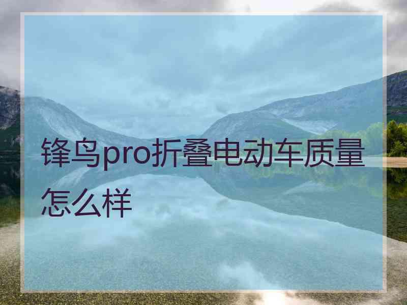 锋鸟pro折叠电动车质量怎么样