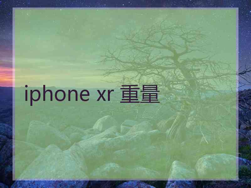 iphone xr 重量